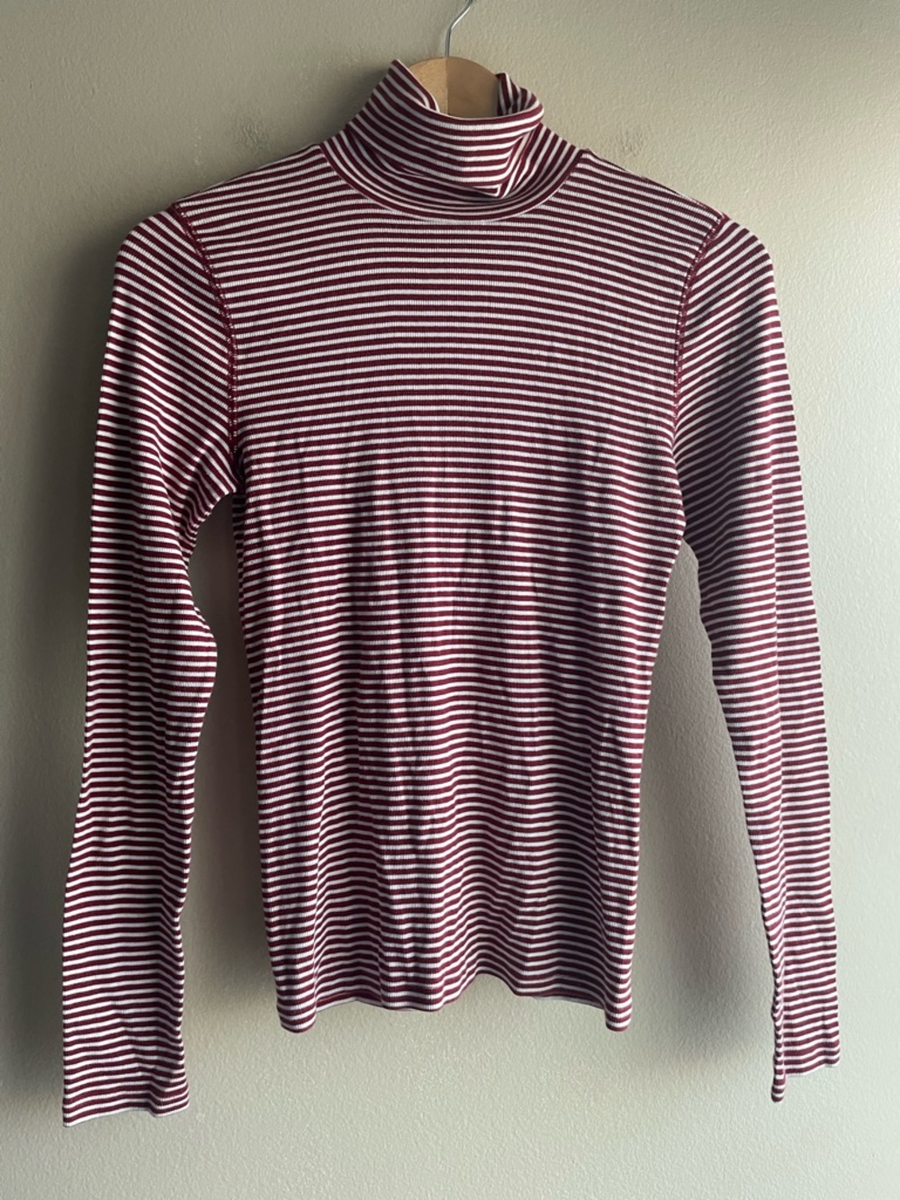 Everlane THE LUXE RIB TURTLENECK Striped Size Medium